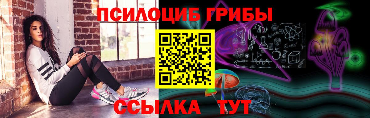 Галлюциногенные грибы GOLDEN TEACHER  Галлюциногенные грибы GOLDEN TEACHER  Азов  где купить наркоту  Вход с VPN 